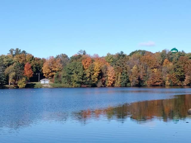 Overlook - Image 1