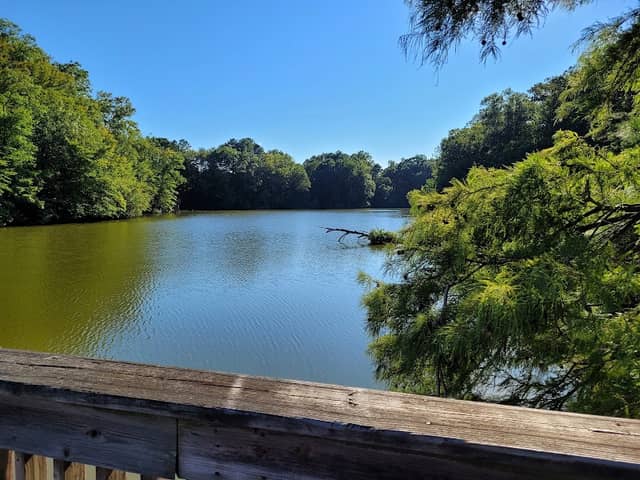 Fort Eustis Nature Trail - Image 2