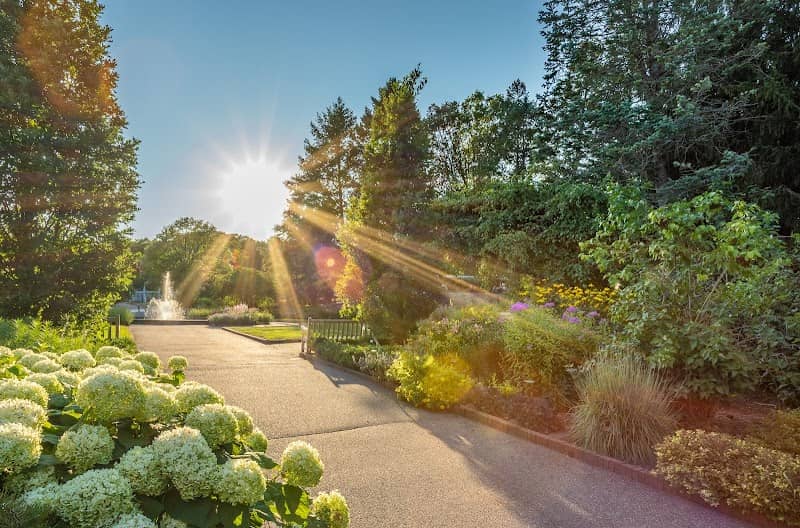 University of Minnesota Landscape Arboretum - Image 1