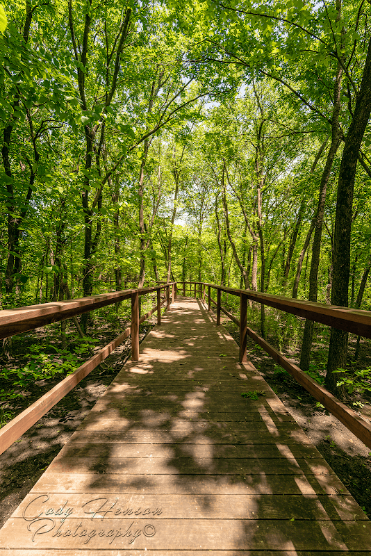 Mockingbird Nature Park - Image 2