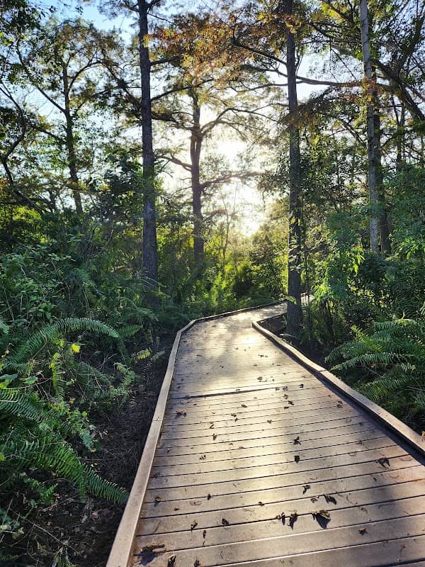 Cypress Hammock Park - Image 1