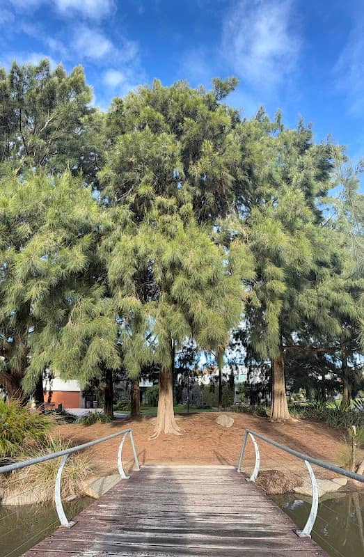Monash Gallery Reserve Pond - Image 2
