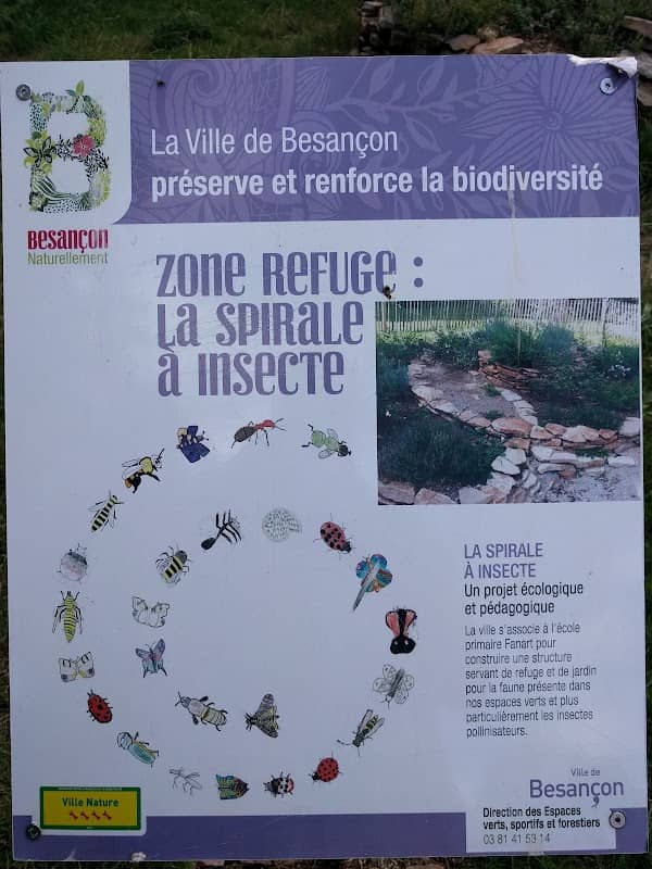 Spirale à insectes - Image 2