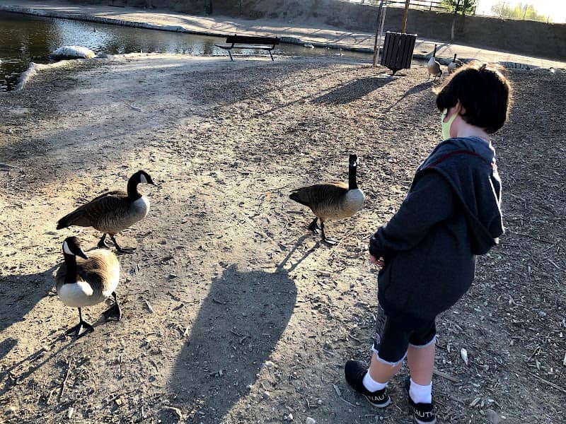 Rancho Simi Park Lake - Image 1