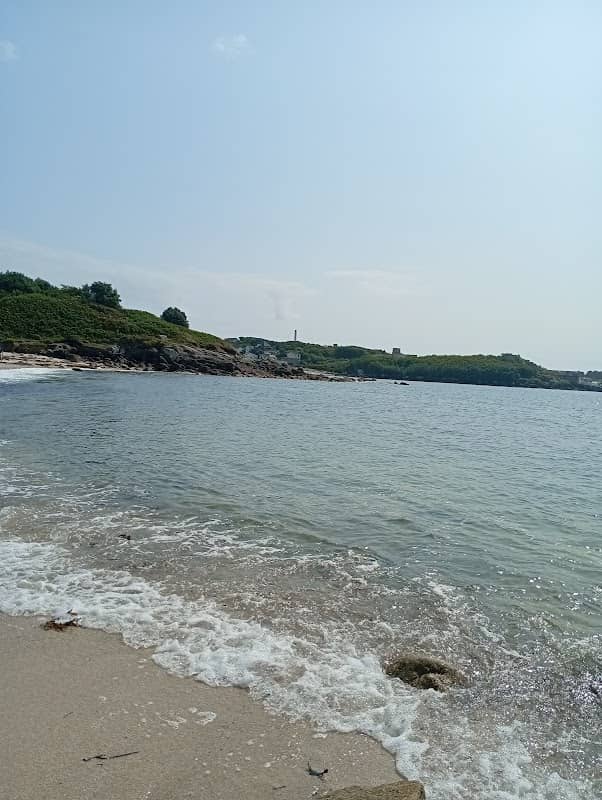 Shark's Bay - Image 3