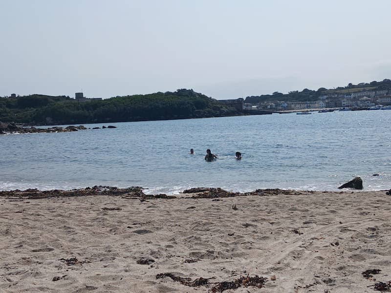 Shark's Bay - Image 1