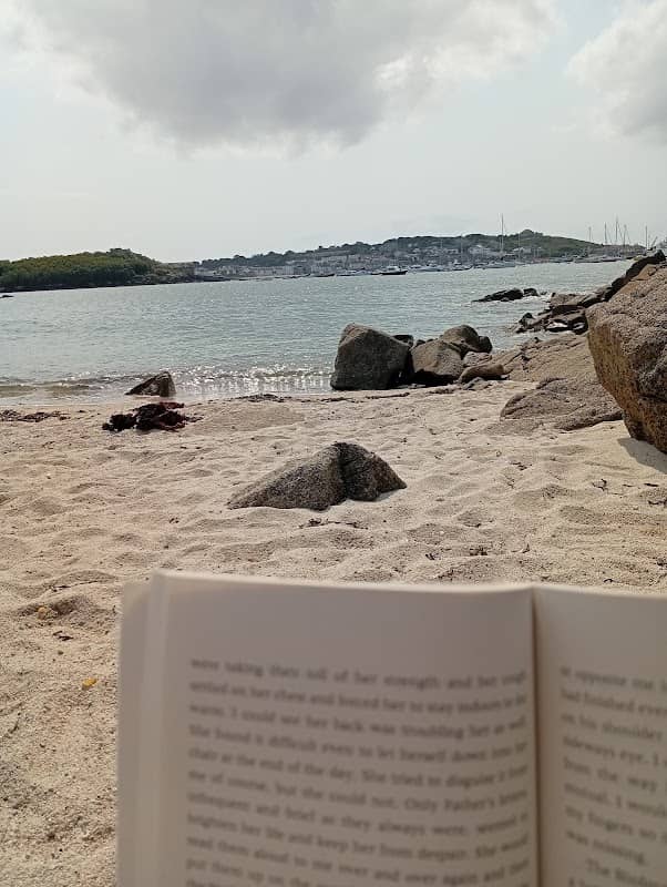 Shark's Bay - Image 2