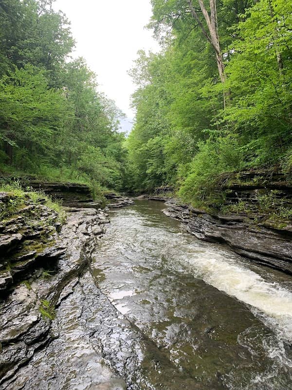 The baths - Image 1