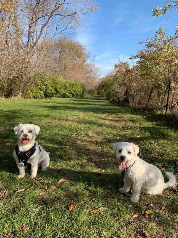 Canine Corners Dog Park - Olson Park - Image 1