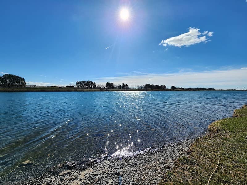 Welland Dog Park - Image 2