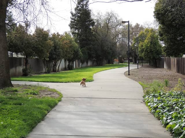 Wayne Cline Park - Image 1