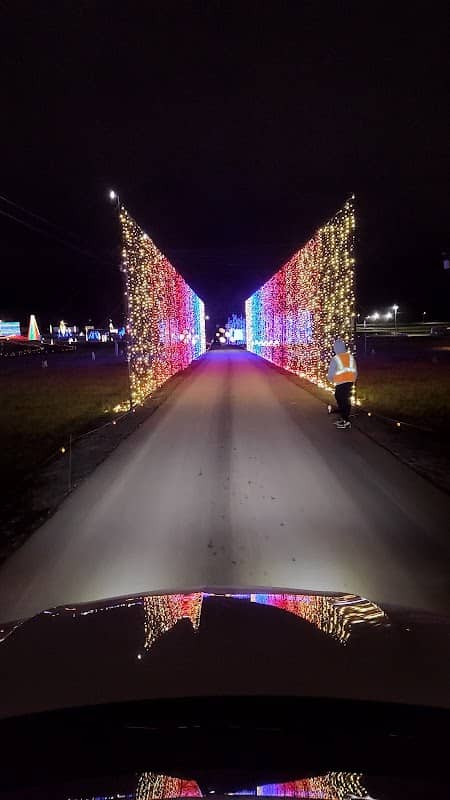 The Dancing Lights of Christmas - Image 2