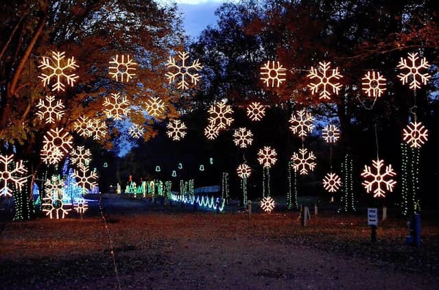 The Dancing Lights of Christmas - Image 1