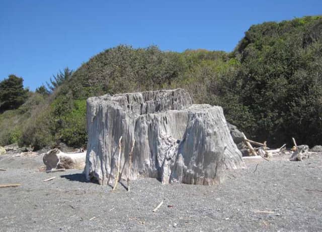 McVay Rock State Recreation Site - Image 1