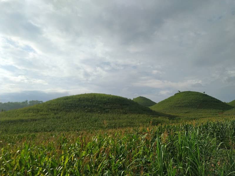 Bukit teletubbies - Image 1