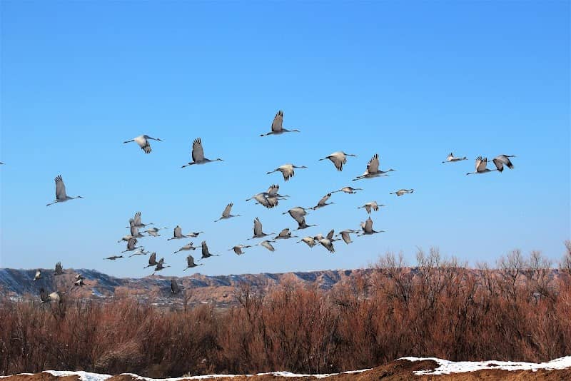Ladd S Gordon Waterfowl Complex - Image 3
