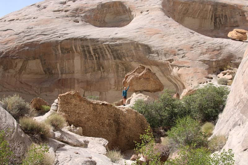 Big Orange Jeep Tours - Image 1