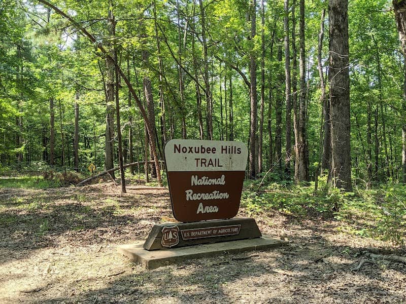 Noxubee Hills Trail System South Trailhead - Image 2