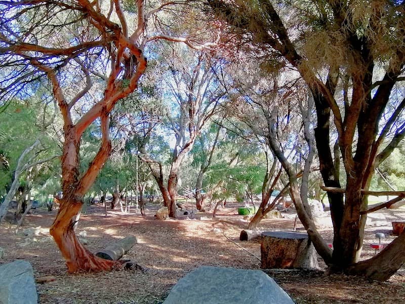 Russell Brown Adventure Park - Image 1