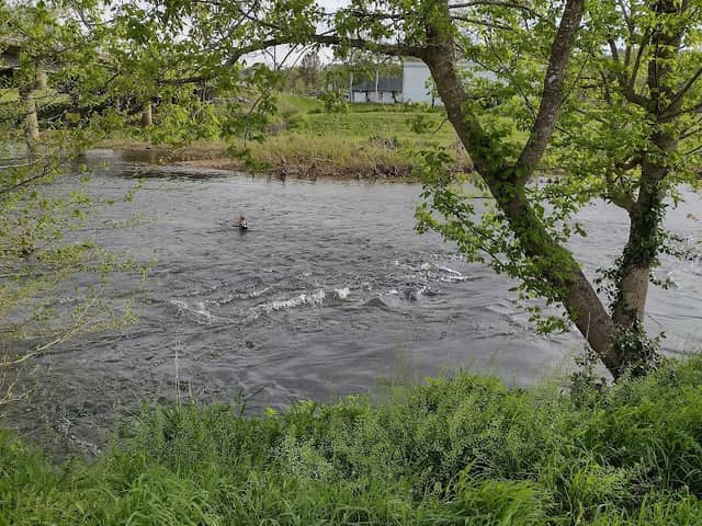 Twin City Park - Image 2