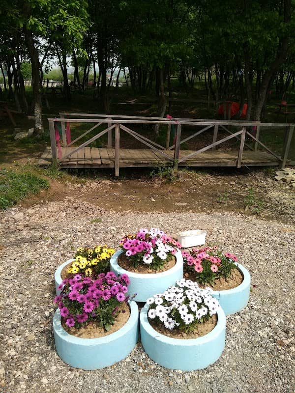 Sultan Göl Park - Image 1