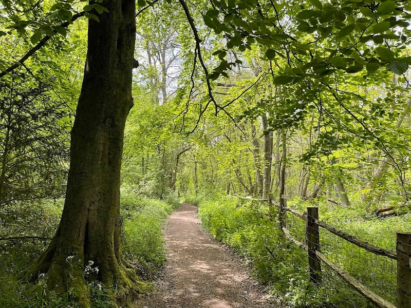 Kemsing Down - Kent Wildlife Trust - Image 2