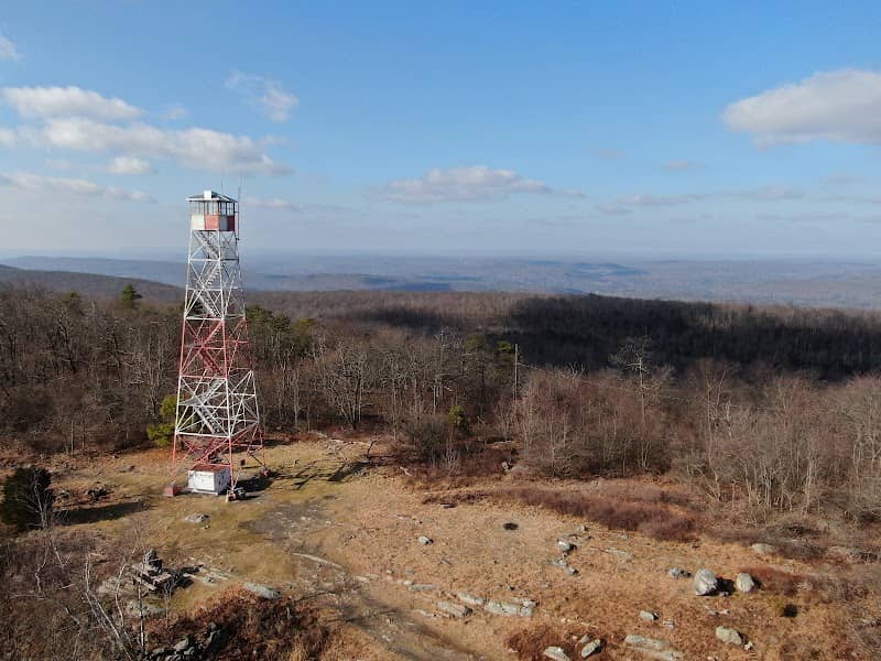 Catfish Fire Tower - Image 2