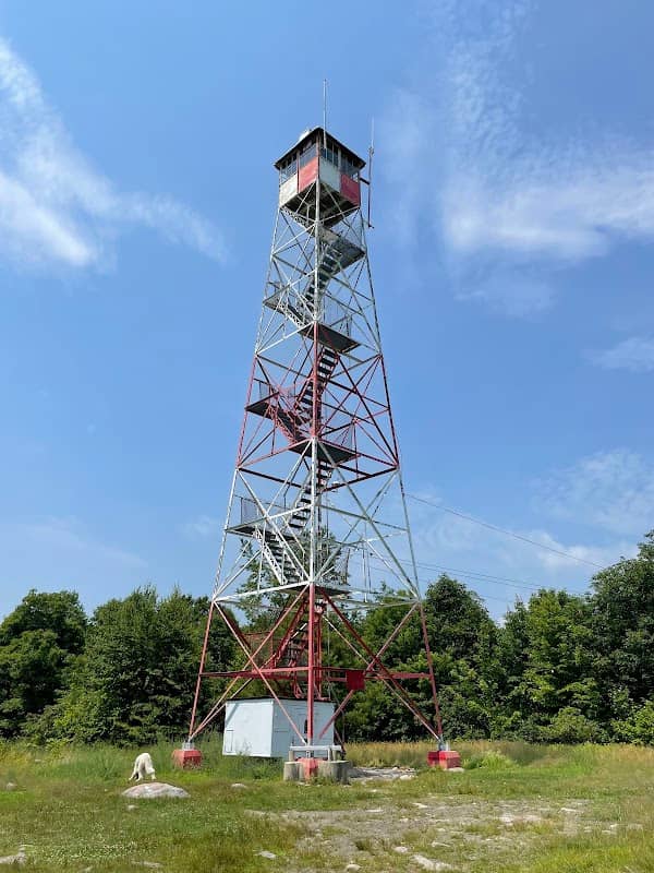 Catfish Fire Tower - Image 1