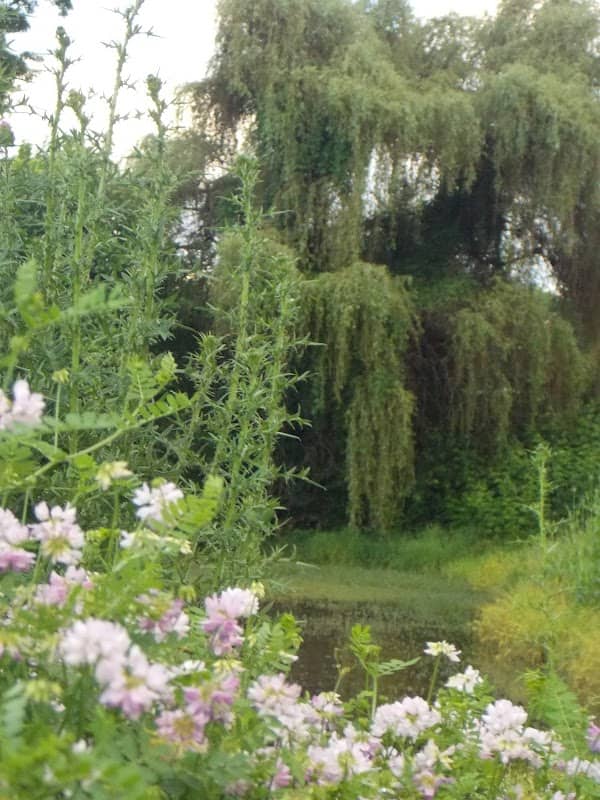 Edinburgh Park - Image 2