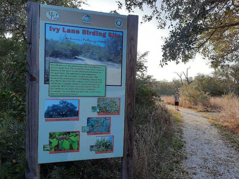 Ivy Lane Birding Site - Image 1