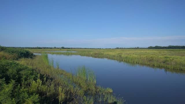 Baker University Wetlands - Image 2