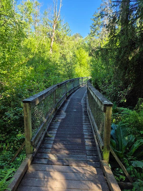 West Hylebos Wetlands Park - Image 2
