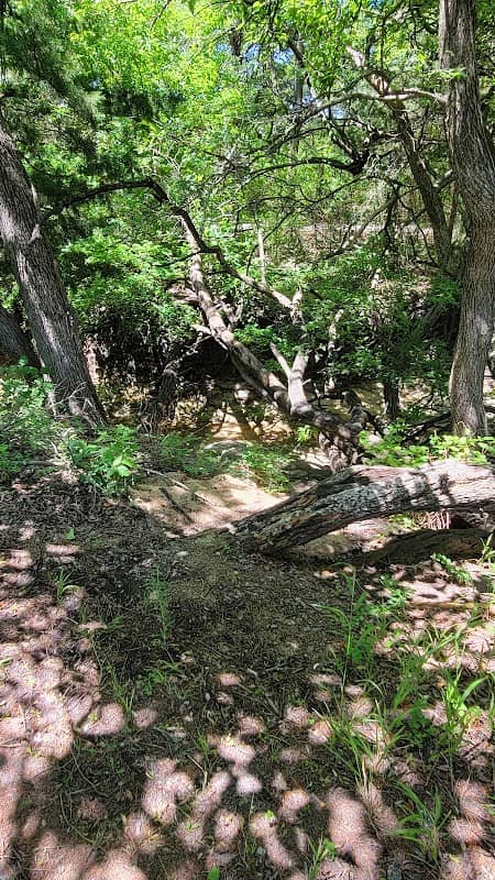 City Memorial Park - Image 1
