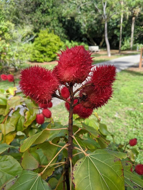 Arboretum at Constitution Park - Image 1