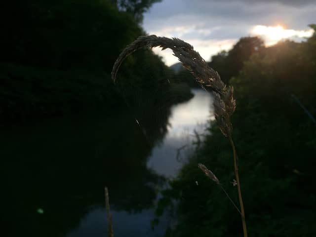 Riverside Park - Image 1