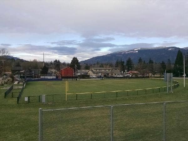 Tesarik Field - Image 1