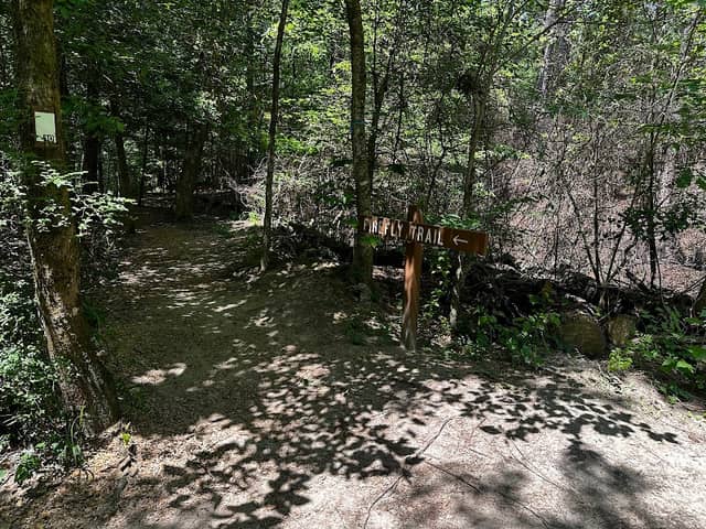 Firefly Trail - Image 2