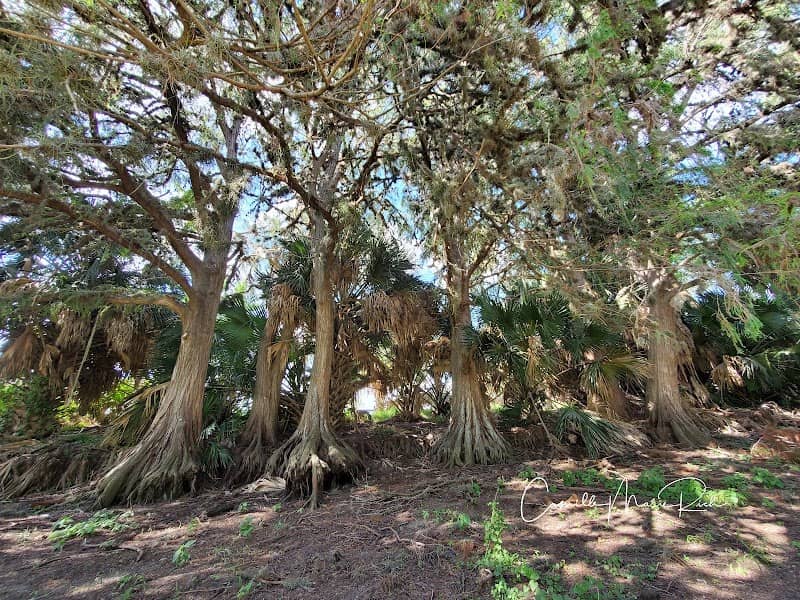 La Posada Park - Image 2