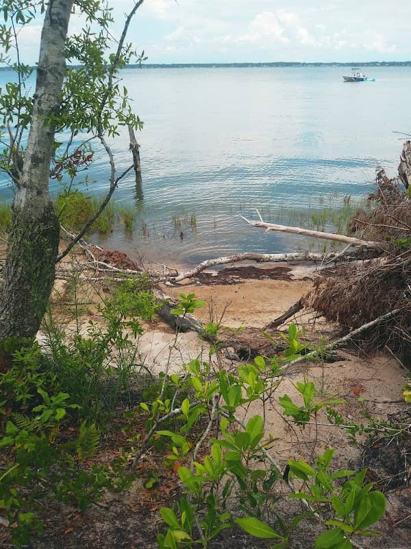 Theodore Roosevelt Natural Area - Image 2
