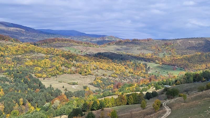 Belvedere Comarnic - Image 1
