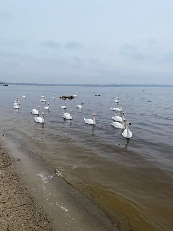Plaża w Nieporęcie - Image 1