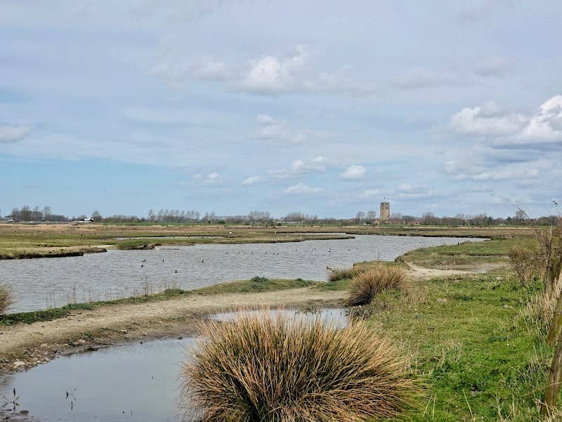 Natuurontwikkelingsgebied Koudenhoek - Image 2