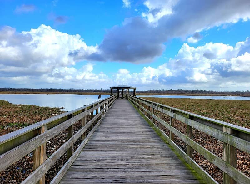 Cattail Marsh Scenic Wetlands & Boardwalk - Image 1