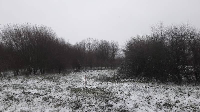 Park Griene Greide - Image 1