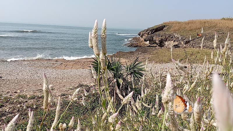 Stone Beach - Image 1