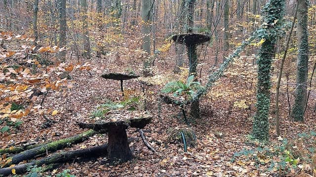 Hängegarten - Image 1