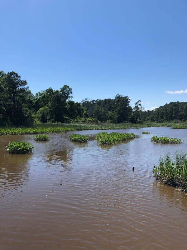 Jamestown Island - Image 2