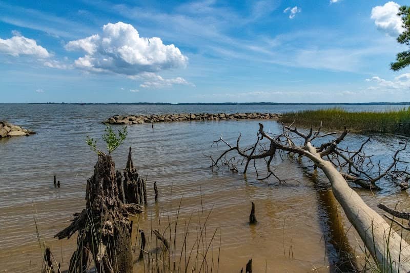 Jamestown Island - Image 1