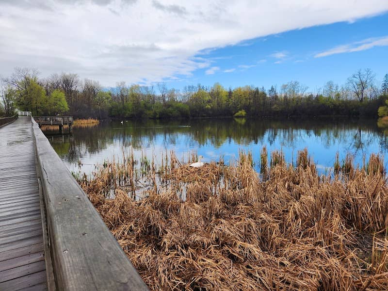 Fish & Turtle View Area - Image 1