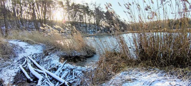 Karpfenteiche - Image 1